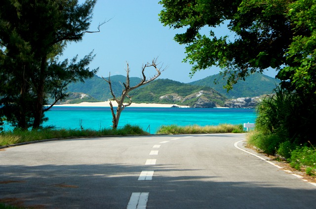 座間味島の島内交通