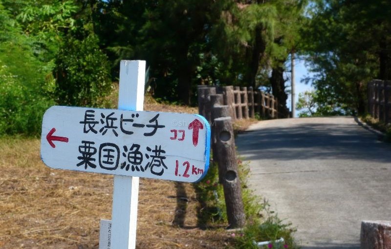 粟国島の島内交通